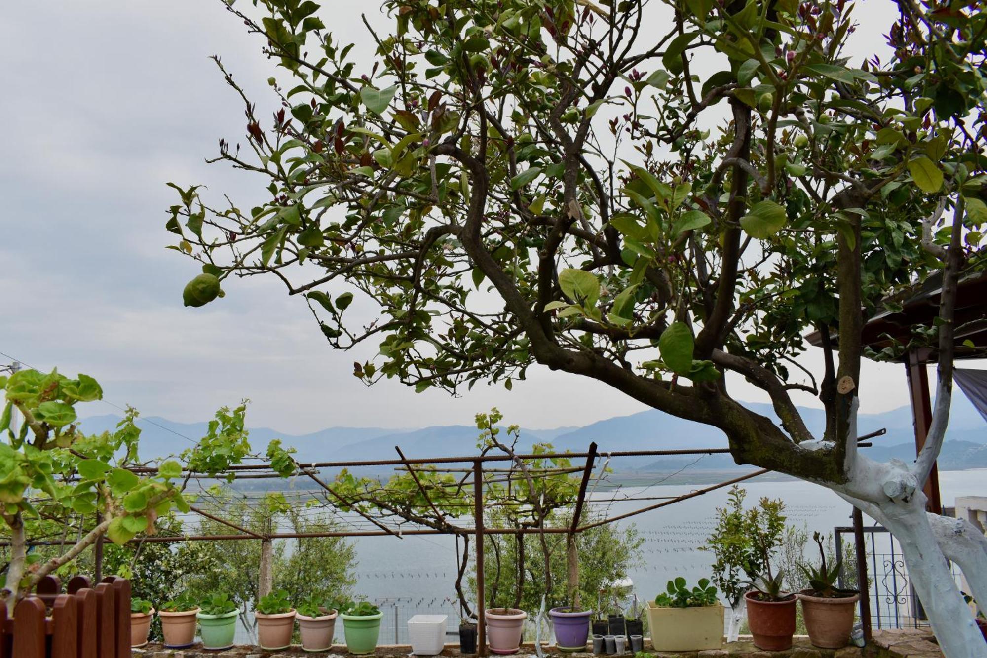 Ksamil Sea&Lake View Escape Bagian luar foto